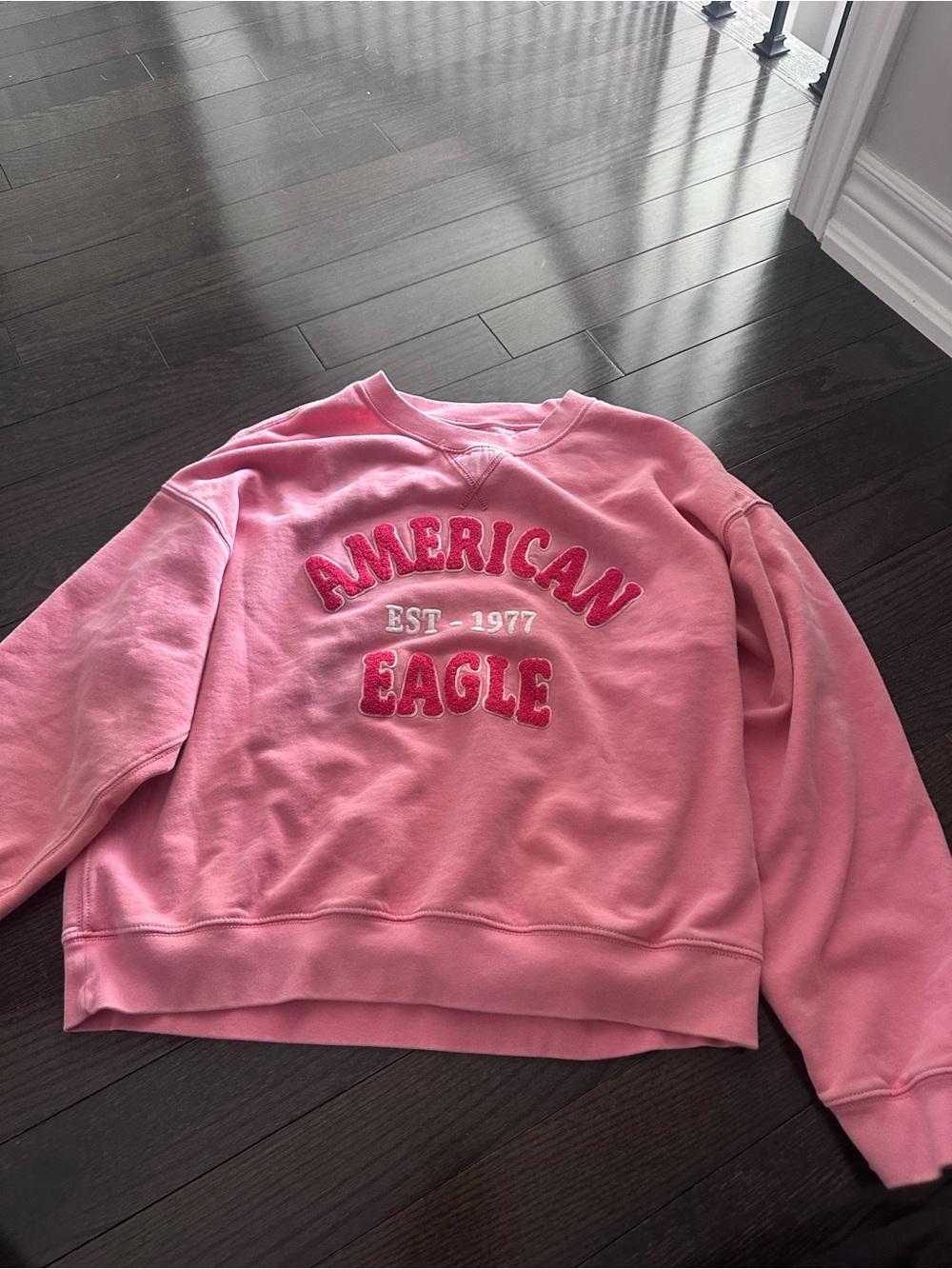 American Eagle Outfitters Pink Crewneck with Embroidered Logo